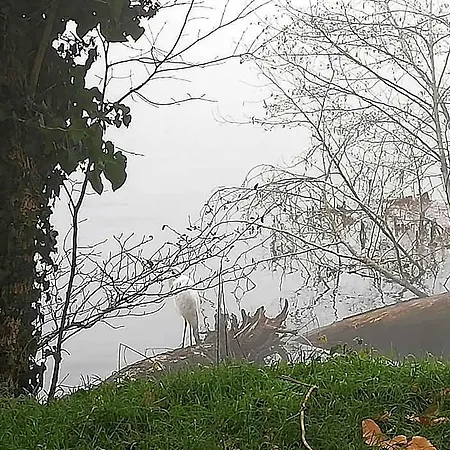 A Due Passi Dal Castello Bed & Breakfast Somma Lombardo